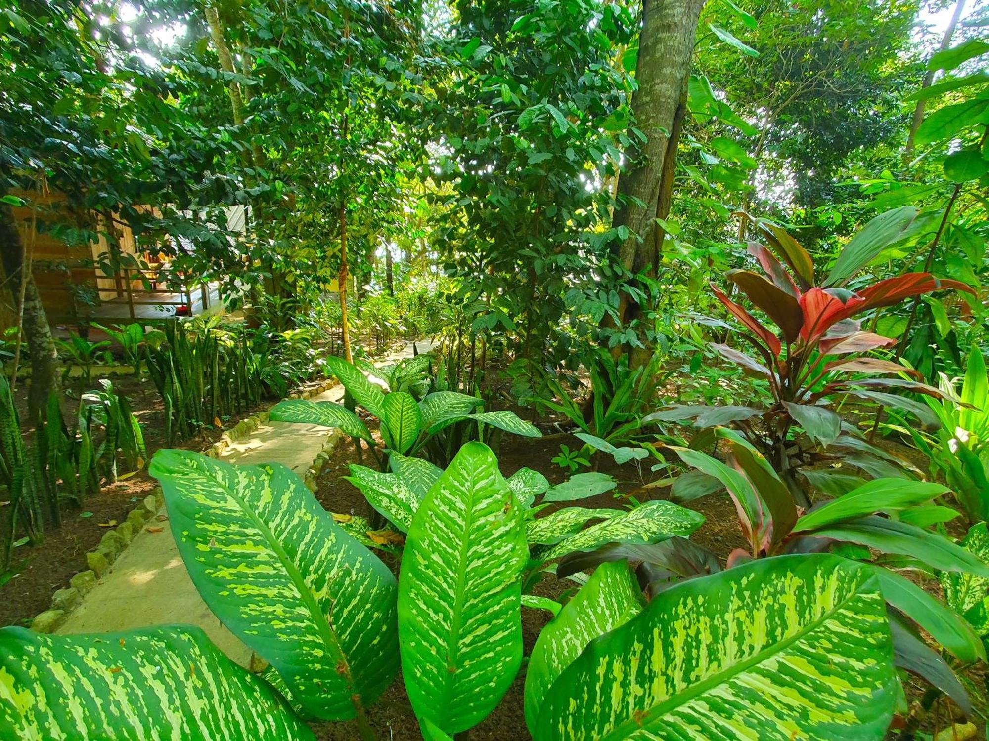 Santi Garden Bungalows Iboih Екстер'єр фото